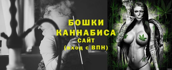 прущие грибы Балабаново