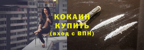 прущие грибы Балабаново