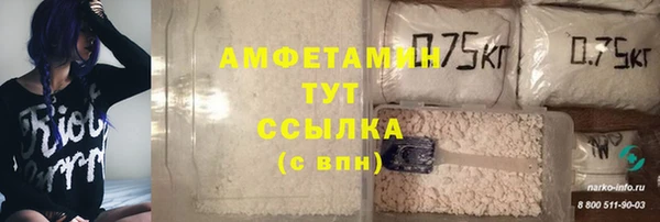 прущие грибы Балабаново
