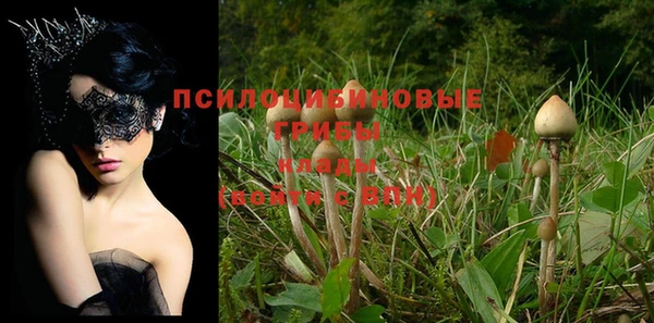 прущие грибы Балабаново