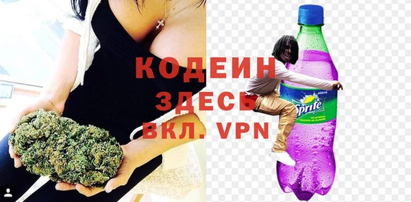 прущие грибы Балабаново
