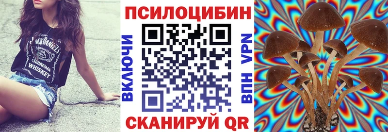 Псилоцибиновые грибы мицелий Тында