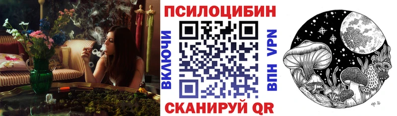 купить закладку  Тында  Псилоцибиновые грибы прущие грибы 